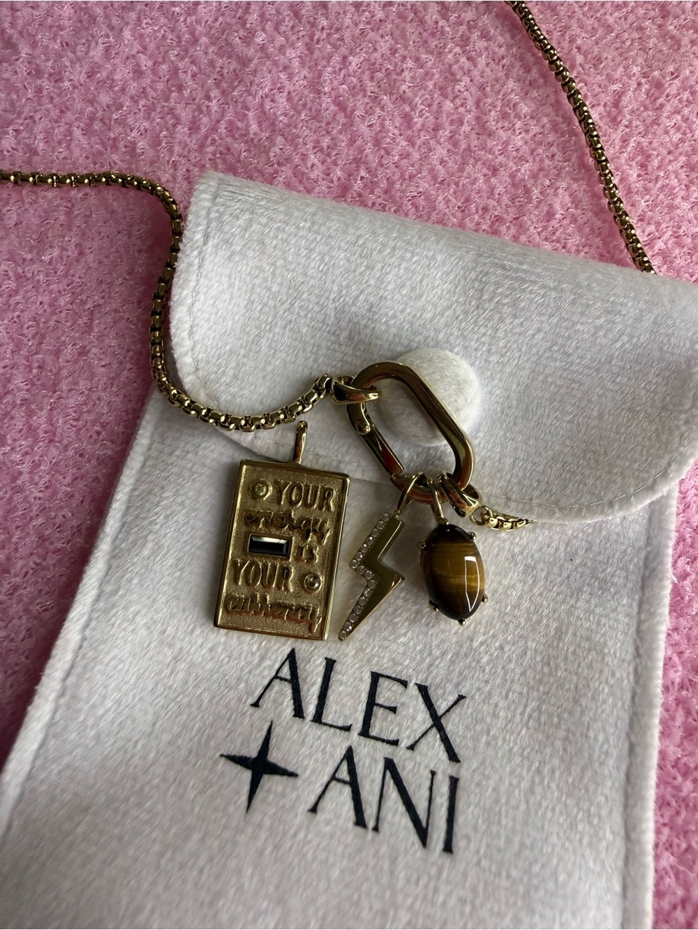 Alex and Ani Gold Charm Necklace with Tiger Eye Accent